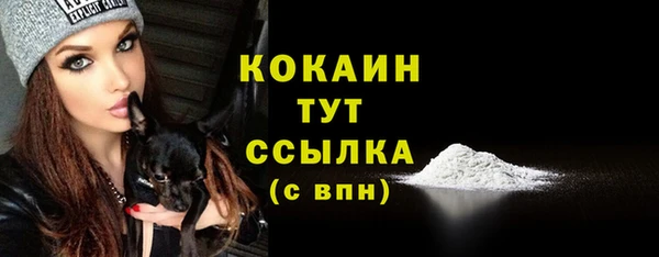 дживик Орехово-Зуево