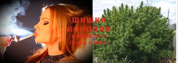 каннабис Долгопрудный
