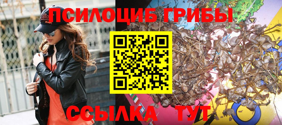 Псилоцибиновые грибы мухоморы  Вход с VPN  Псилоцибиновые грибы мухоморы  Кандалакша 