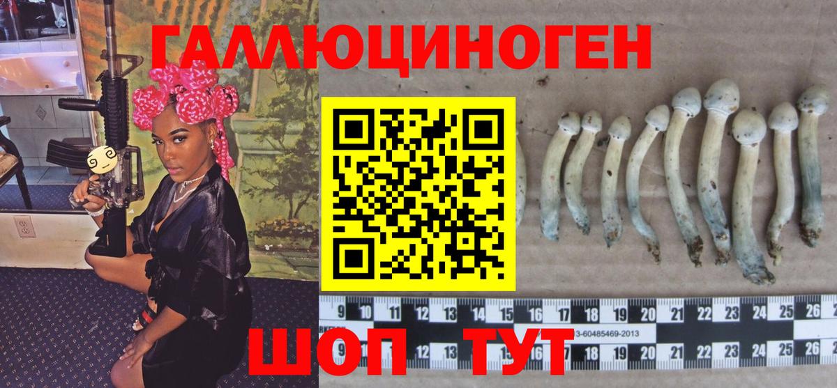 LSD-25 Кандалакша