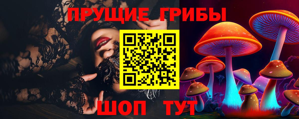Галлюциногенные грибы Psilocybe Кандалакша